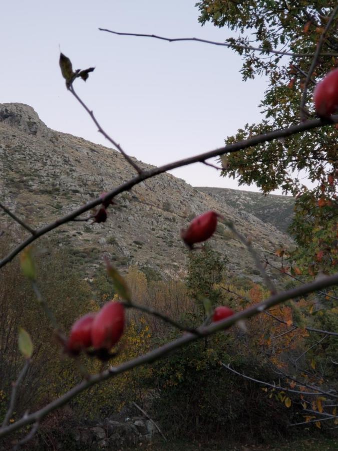 Tejeruelas Hébergement de vacances *