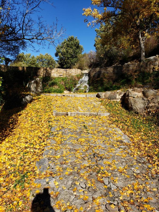 Tejeruelas * Navacepedilla de Corneja