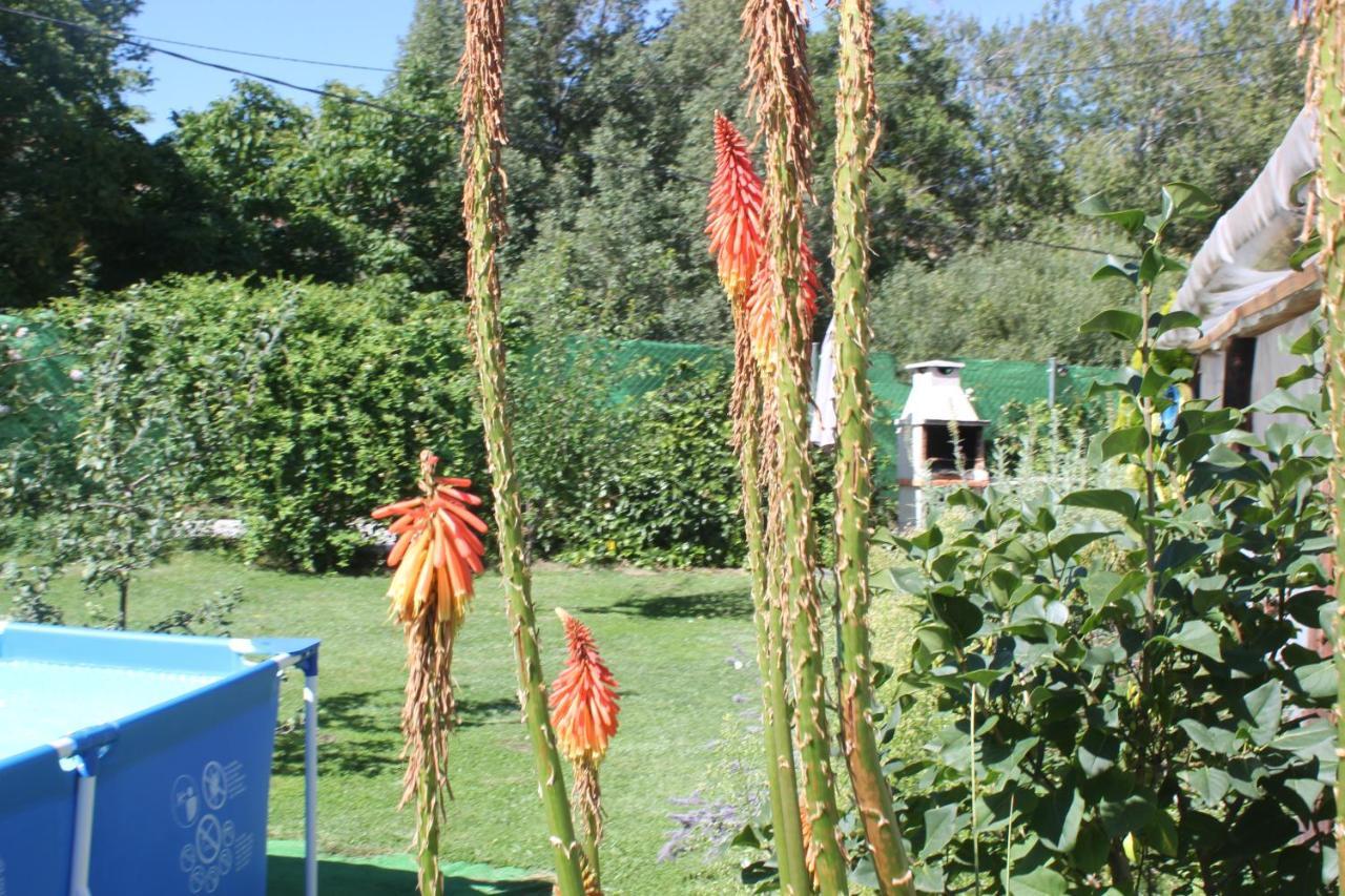 Tejeruelas Holiday home Navacepedilla de Corneja